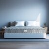 Sleepwell Dual Pro Foam Resitec Medium Firm Profiled Pu-Foam King Size Mattress (Thickness: 8 Inches, Dimensions: 72 X 70 Inches)