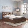 Sandon Engineered Wood Queen Size Box Storage Bed In Classic Walnut Finish