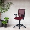 Eexcaeal Mid Back Ergonomic Chair in Maroon Colour