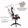 Reaii Mid Back Ergonomic Chair in Brown Colour