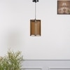 Igor Single Light Ceiling Pendant In Brass Finish