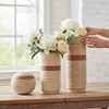 Modern Decorative Tabletop Vase Set for Living Room