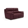 Thiene 2 Seater Leather Sofa in Wine Colour
