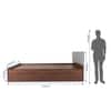 Lush Engineered Wood Queen  Size Bed With Box Storage (Walnut Finish)