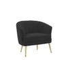 Carl Solid Wood Accent Chair in Black Colour