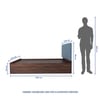 Yantra Engineered Wood Queen  Size Bed With Box Storage (Walnut Finish)