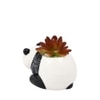 Black 1 Pieces Succulent Artificial Plant With Pot