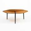 Berlin Glass Coffee Table In Black Finish