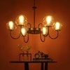 Eliante Champaign Glass Chandelier, 6-Light, Mild Steel And Ceramic, Elegant Modern Lighting Fixture