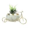 Aloe Vera Plant In Ceramic Pot On A Beautiful Cycle Cart