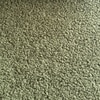 Zenliving Wood 3 Seater With Upholstery Non Storage Sofa In Green Colour