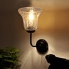 Devansh Metal Electric Wall Light in black Colour with Transparent Shade Count of 1 Light