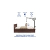 Themis Engineered Wood Queen  Size Bed With Box Storage (Walnut Finish)
