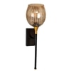 Devansh Metal Electric Wall Light in black Colour with Transparent Shade Count of 1 Light