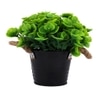 Artificial Green Eucalyptus Plant With A Rope Tied To Pot For Interior Decor