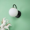 Eliante Modern Wall Lights Mild Steel, Glass & Glass Material Brown, Gold & White Finish