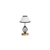 Raegan Multicolor cotton Table lamp with Wood & Iron Base