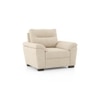 Adelaide Premium 1 Seater Fabric Sofa in Birch Beige Colour
