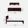 Rimz Solid Wood Queen  Size Upholstered Bed Without Storage (Honey Finish)