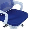 Xeanea Mid Back Ergonomic Chair in Blue Colour