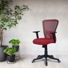 Peacifice Mid Back Ergonomic Chair in Red Colour