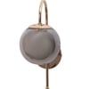 Eliante Modern Wall Lights Mild Steel & Glass Material Gold & Smoke Finish