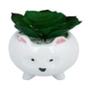White Cat Planter With Artificial Succulent