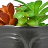 Artificial Succelent Arrangement With Black Planter