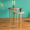 Toshi Side Table Set Of 2