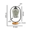 Devansh Multicolor Glass Wooden & Iron  Table Lamp -17 Inch Height  -Ag1