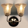 Devansh Steel Electric Wall Light in Steel Colour with Transparent Shade Count of 2 Lights
