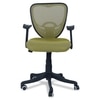 Odrione Low Back Ergonomic Chair in Pearl Green Colour