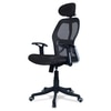Reaii Mid Back Ergonomic Chair in Black Colour