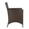 Darwin Wicker Chair In Brown Tone Finish