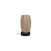 Alberto Beige Bamboo Shade Table Lamp with Black Iron Base
