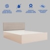 Bakhti Engineered Wood Queen  Size Bed With Hydraulic Storage (Melamine Finish, White Colour)