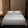 Stoa Paris 300 TC Satin Bedsheet Double Bed with Pillow Covers in Vanilla White