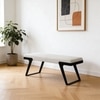 The Flint Z Metal Bench in White Finish