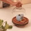 Ireka Homes Vriksha Acacia Wood Cake Stand with Glass Dome