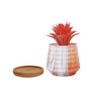 White 1 Pieces Succulent Artificial Plant With Pot