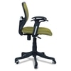 Odrione Low Back Ergonomic Chair in Pearl Green Colour