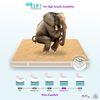 Pure Sleep Premium Orthopedic Pocket Spring Mattress