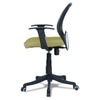 Xxeana Low Back Ergonomic Chair in Pearl Green Colour