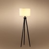 Devansh Tripod Floor Lamp