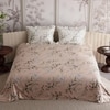 Stoa Paris Super King Size Cotton Bedsheet with 2 Pillow Covers  Size Nectar Bloom Peach