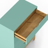 Calla Chest of Five Drawers Finish- Mint Green