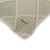 Danube Desert Sage Cushion Cover 16X16  Inches