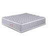Repose Ortholux ST Multi Reinforced Coir with Memory Foam Mattress (L x W: 72 inch x 36 inch, Thickness 5 Inches )