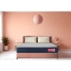 Usha Shriram Dual Comfort Soft & Firm Sides Queen Size Mattress (Mattress Thickness: 8 Inches, Mattress Dimensions: 72 x 60 in)