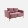 Arab Velvet 2 Seater Sofa Peach Color